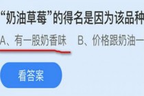 奶油草莓的得名是因为该品种的草莓?蚂蚁庄园9.29奶油草莓答案(奶油草莓的得名是因为该草莓)