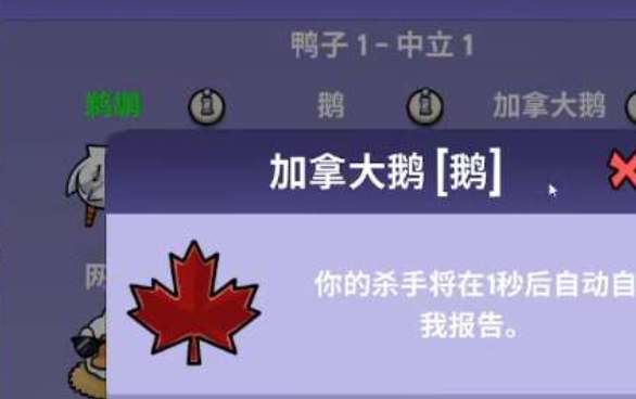 鹅鹅鸭加拿大鹅玩法攻略(黄金鹅和加拿大鹅)