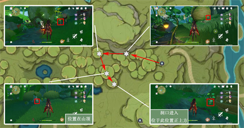 《原神》帕蒂莎兰采集点位置大全 帕蒂莎兰采集路线分布图[多图]图片8