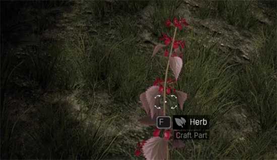 《消逝的光芒》夜晚草药位置介绍(消逝的光芒夜魔多少血)