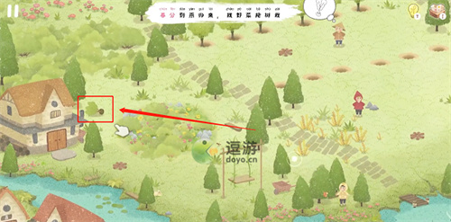 四季之春树苗位置在哪里？(四季之春树苗在哪里)