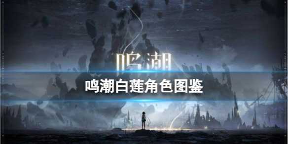 《鸣潮》白莲角色图鉴 白莲技能效果共鸣链加成一览