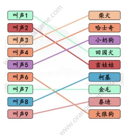 《汉字找茬王》连线狗的对应叫声答案 哈基米叫声连线答案图片3