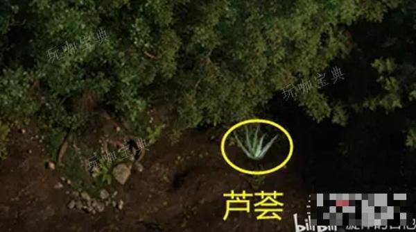 《创世秩序》芦荟乳液制作方法分享