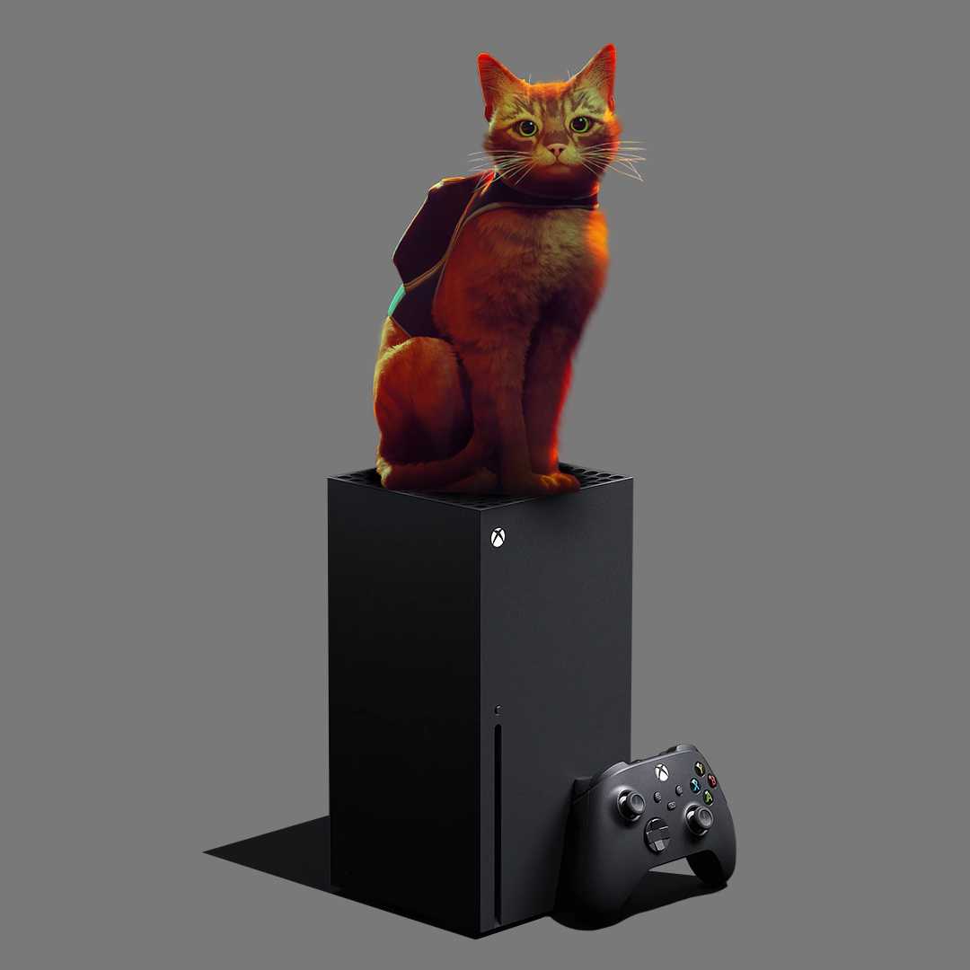 Steam好评如潮 猫咪冒险游戏《迷失》正式登陆Xbox(Steam好评如潮的射击游戏)