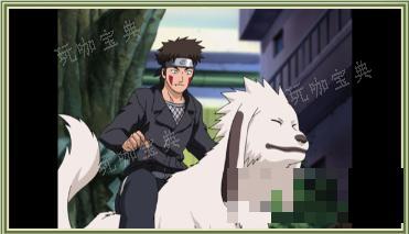 《火影忍者：终极风暴羁绊》犬冢牙 与赤丸的牵绊(火影忍者终极之战礼包码)