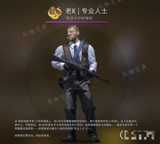 《csgo》老k是哪个阵营的？(csgo老k为什么这么贵)