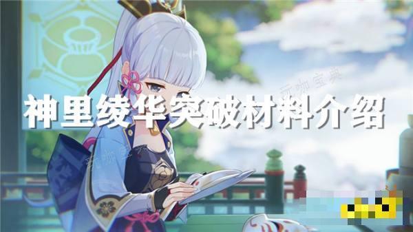 《原神》神里绫华应该怎么培养？4.3版本神里绫华突破材料一览(原神神里绫华武器推荐四星)