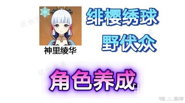 《原神》4.3神里绫华培养材料收集指南 绯樱绣球采集路线分享(《原神》4.3版本介绍)