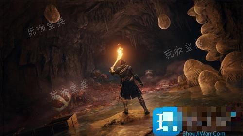 《艾尔登法环》联机不被入侵方法