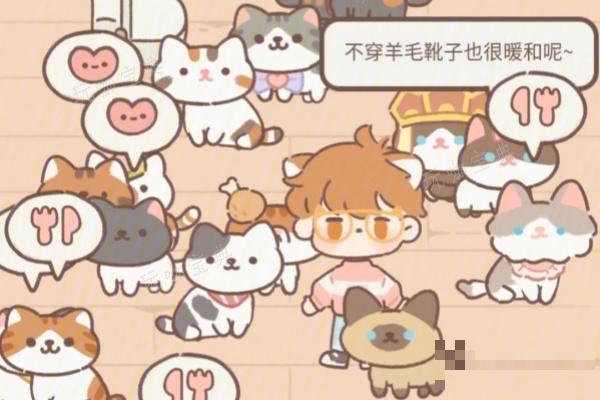 《遇见你的猫》粑粑糖获得方式(《遇见你的猫》官网)