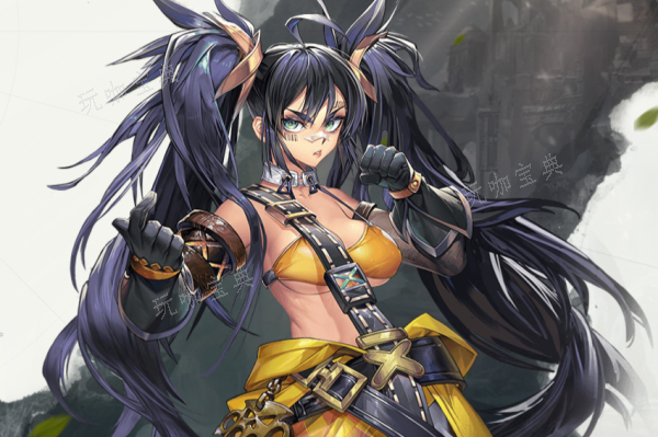勇士与冒险灭武师职业介绍(勇士与冒险灭武师穿武器)