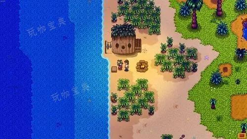 《星露谷物语》姜岛怎么赚钱？(星露谷物语姜岛博物馆收集攻略)