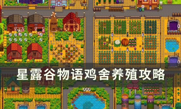 《星露谷物语》鸡舍养什么最赚钱？ 鸡舍养殖攻略(星露谷物语鸡雕像的作用)