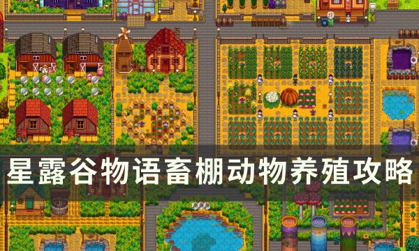 《星露谷物语》畜棚养什么最好？ 畜棚动物养殖攻略(星露谷物语畜牧人和农耕人哪个好)