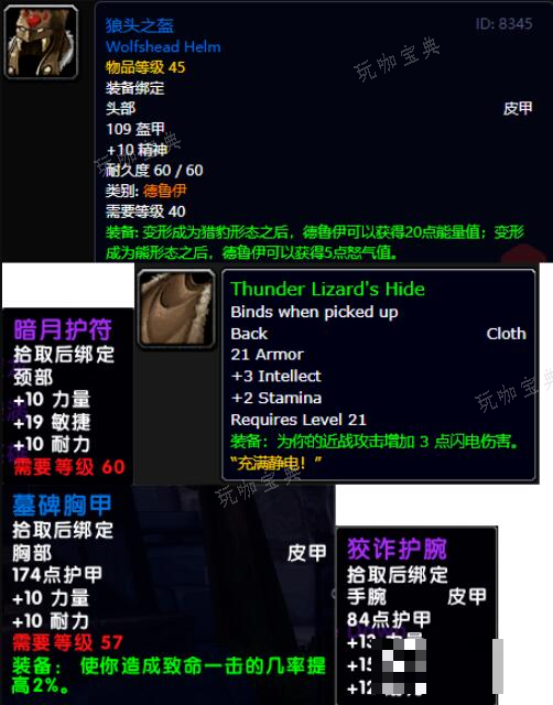 魔兽世界乌龟服元素猫怎么玩图三