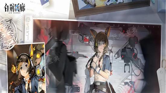 《白荆回廊》怎么编队？编队注意事项介绍？(《白荆回廊》定档)