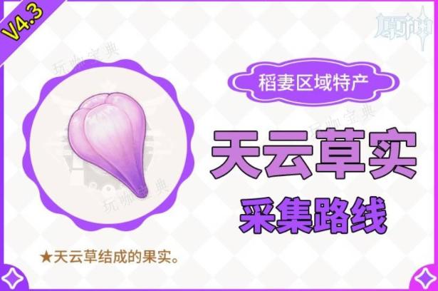 《原神》4.3版本天云草实采集攻略(游戏《原神》)