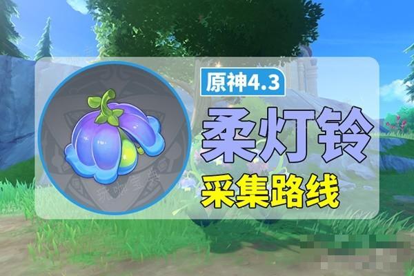 《原神》柔灯铃位置一览 柔灯铃采集路线