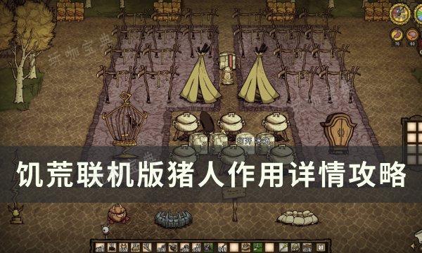 《饥荒联机版》猪人有什么用？猪人作用详情攻略(饥荒联机版猪王交易表)