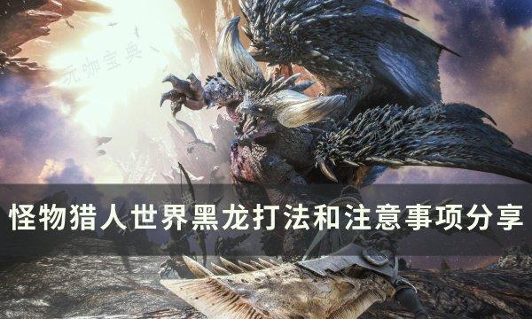 《怪物猎人世界》黑龙怎么打？黑龙打法和注意事项分享(怪物猎人世界不动衣装怎么解锁)