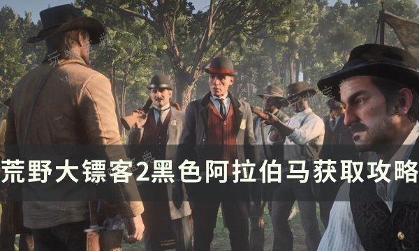 《野大镖客2》黑色阿拉伯马如何获得？黑色阿拉伯马获取方法