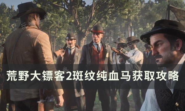 《荒野大镖客2》斑纹纯血马在哪抓？斑纹纯血马获得攻略(荒野大镖客2欧美版)