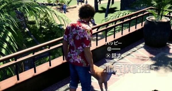 《如龙8》动物喂食方法及出现位置一览 猫狗位置在哪？(如龙第八章计谋)