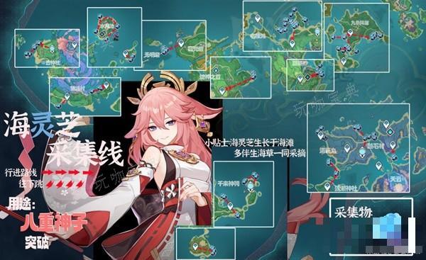 《原神》海灵芝采集路线 海灵芝分布图(原神海灵芝怎么采集)