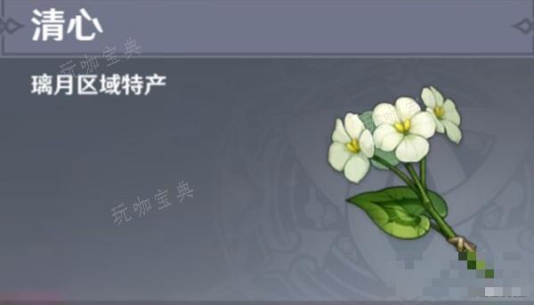 《原神》海上盛珠钿任务完成指南(原神海上盛珠怎么触发)