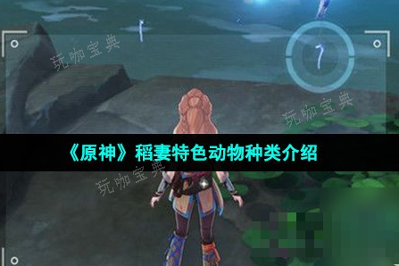 《原神》稻妻特色动物一览