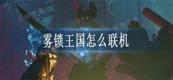 雾锁王国怎么联机？(雾锁王国几人联机)