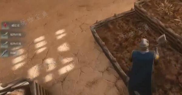 雾锁王国藏红花在哪？