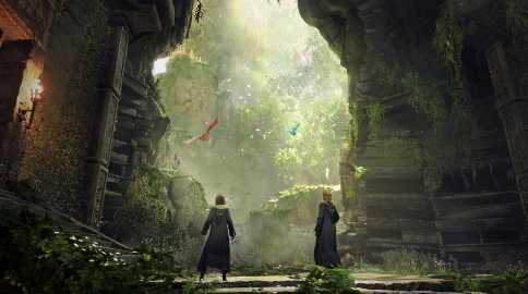 华纳官方：《霍格沃茨之遗》是2023年全球最畅销游戏(霍纳 f1)