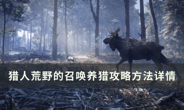 《猎人荒野的召唤》怎么养猎？养猎攻略方法详情(猎人荒野的召唤拍下踪迹的照片任务)