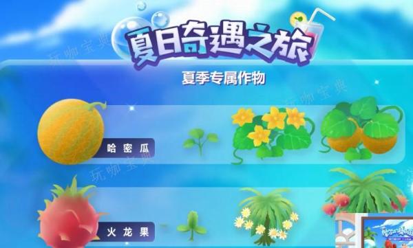 《摩尔庄园》夏日收集菜谱(摩尔庄园夏日菜谱攻略)