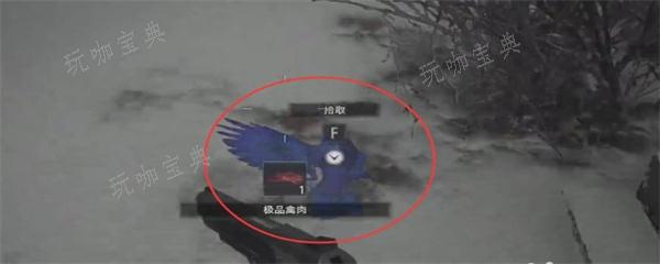 《生化危机8》奇异鸟在哪里？(生化危机8奇异鸟的照片有什么用)