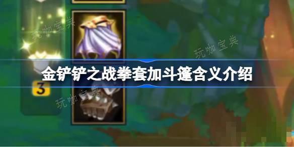 《金铲铲之战》拳套加斗篷是什么意思？拳套加斗篷含义介绍(《金铲铲之战》媒体服)