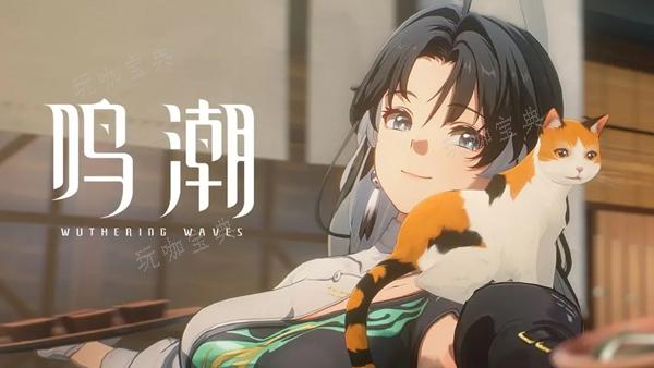 《鸣潮》鉴心值得培养吗？(潮鸣是啥意思)