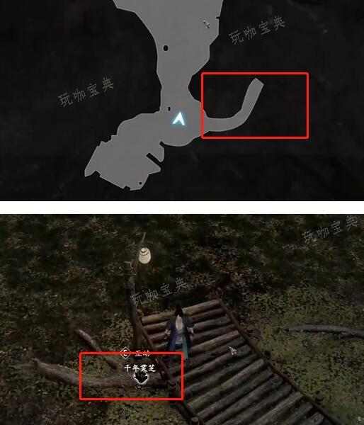 古龙风云录密室外的千年灵芝刷新地点(古龙风云时代版)