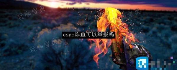 《csgo》炸鱼可以举报吗？炸鱼可以举报吗详情(csgo 炸鱼)
