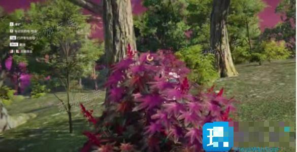《永劫无间》隐身草在哪里？隐身草位置一览(永劫无间隐身草长啥样)