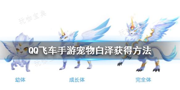 《QQ飞车手游》宠物白泽如何获取？(qq飞车手游工坊保底多少橙色能源)