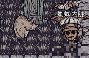《饥荒海难》猪作用介绍(饥荒海难猪哥)