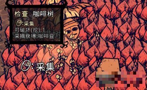 《饥荒海难》咖啡树作用介绍(饥荒海难咖啡食谱大全)
