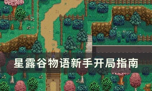 《星露谷物语》新手怎么开局？新手开局指南(星露谷物语新版本)