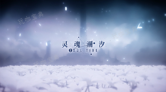 《灵魂潮汐》角色强度排行榜(《灵魂潮汐》角色推荐)