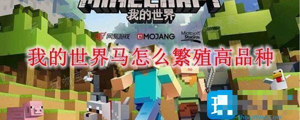 《我的世界》马怎么繁殖高品种？马繁殖高品种方法分享(我的世界马怎么拴起来)