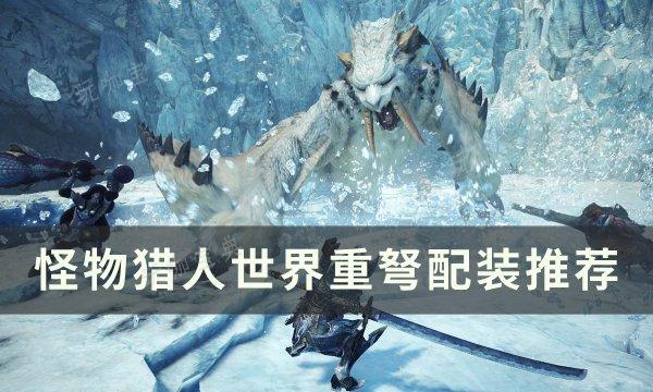 《怪物猎人世界》重弩如何配装？重弩配装推荐(怪物猎人世界外观装备怎么解锁)