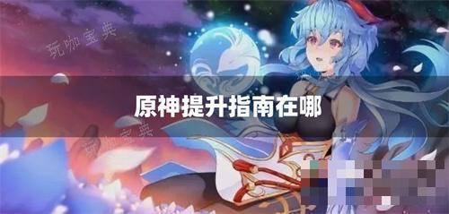 《原神》提升指南在哪？(《原神》氪金指南)